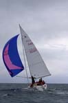 KB40195